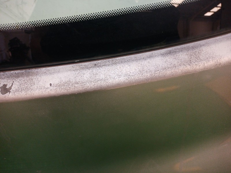 Recambio de porton trasero para nissan micra (k12e) acenta referencia OEM IAM   