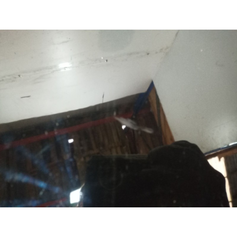 Recambio de capot para peugeot 206 sw 1.6 16v cat referencia OEM IAM SINREF SIN REF SIN REF