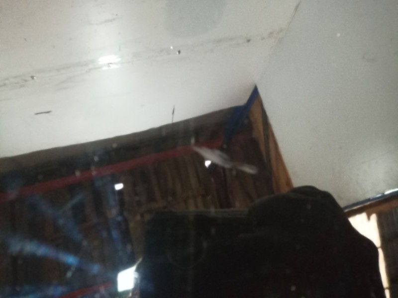 Recambio de capot para peugeot 206 sw 1.6 16v cat referencia OEM IAM SINREF SIN REF SIN REF