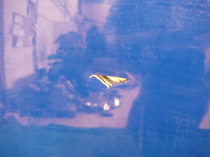 Recambio de puerta delantera derecha para seat ateca (kh7, khp) 1.0 tsi referencia OEM IAM   