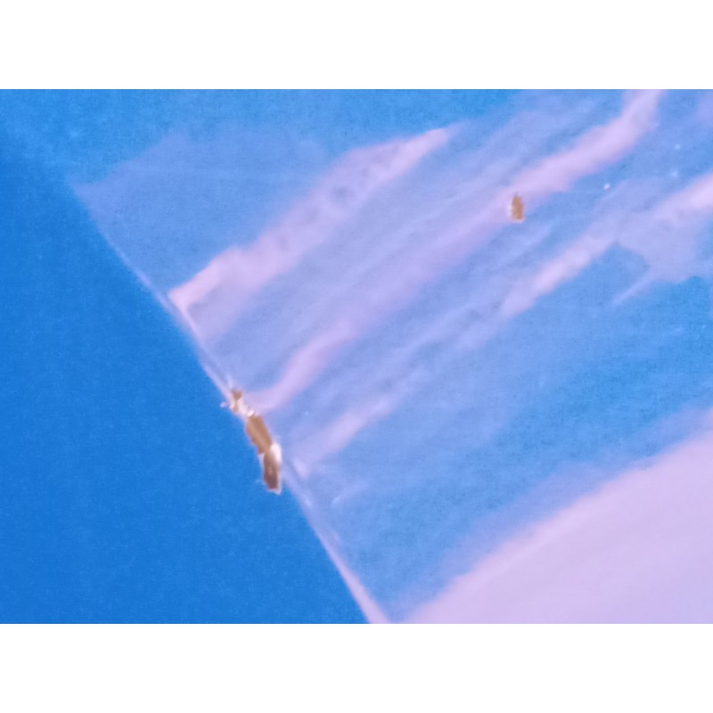 Recambio de puerta trasera derecha para seat ateca (kh7, khp) 1.0 tsi referencia OEM IAM   