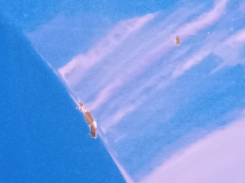 Recambio de puerta trasera derecha para seat ateca (kh7, khp) 1.0 tsi referencia OEM IAM   