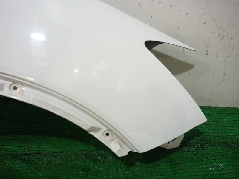 Recambio de aleta delantera derecha para ford kuga ii (dm2) 2.0 tdci referencia OEM IAM   