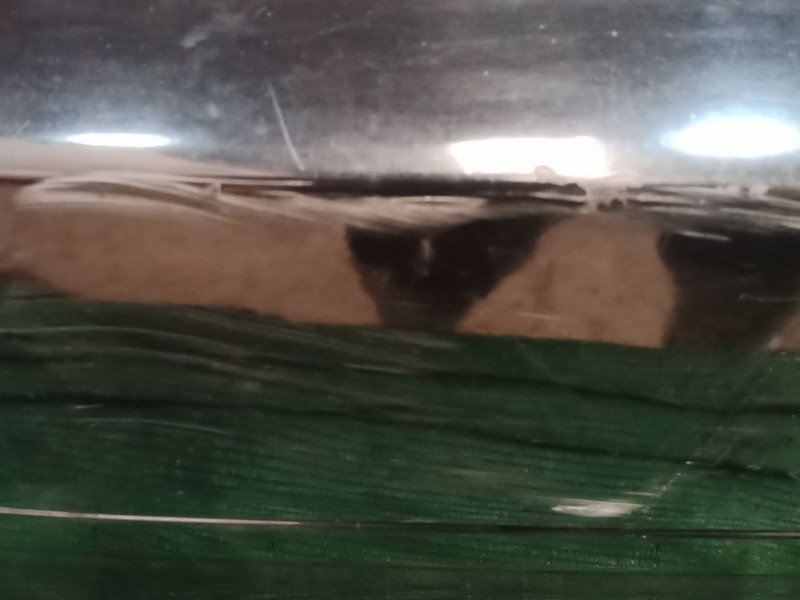 Recambio de paragolpes trasero para bmw 3 (e90) 318 i referencia OEM IAM   