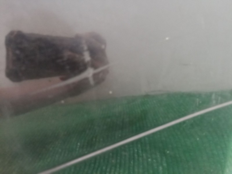 Recambio de paragolpes trasero para bmw 3 (e90) 318 i referencia OEM IAM   