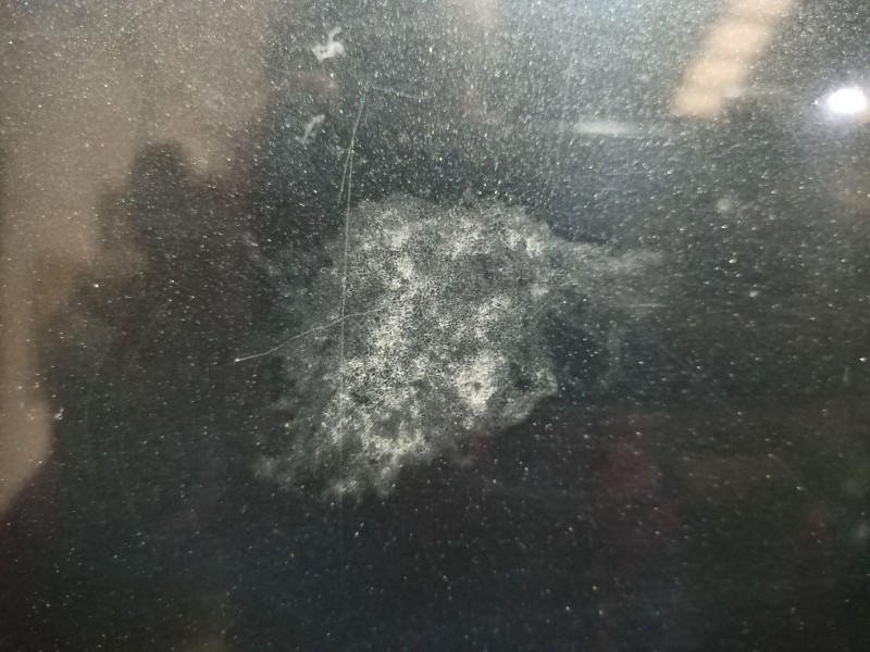 Recambio de capot para bmw 3 (e90) 318 i referencia OEM IAM   