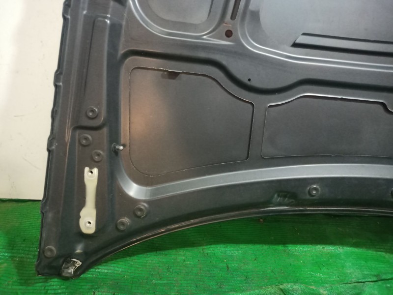 Recambio de capot para bmw 3 (e90) 318 i referencia OEM IAM   