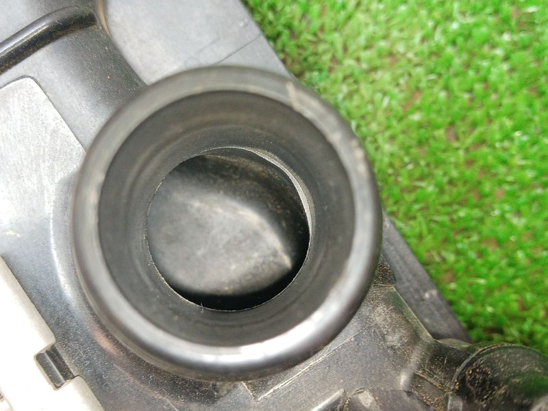 Recambio de radiador agua para mini mini (f55) cooper d referencia OEM IAM   