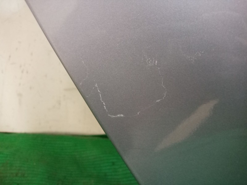 Recambio de puerta trasera derecha para bmw 5 (e60) 520 i referencia OEM IAM   