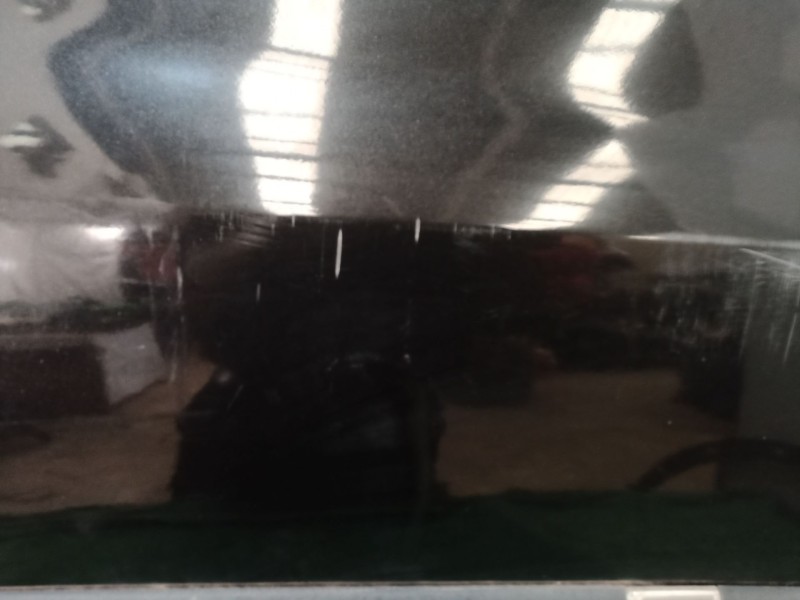 Recambio de puerta delantera derecha para renault clio iii 1.2 16v referencia OEM IAM   