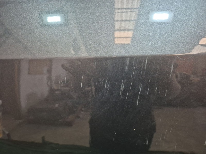 Recambio de puerta trasera izquierda para volkswagen tiguan (ad1, ax1) 1.5 tsi referencia OEM IAM   