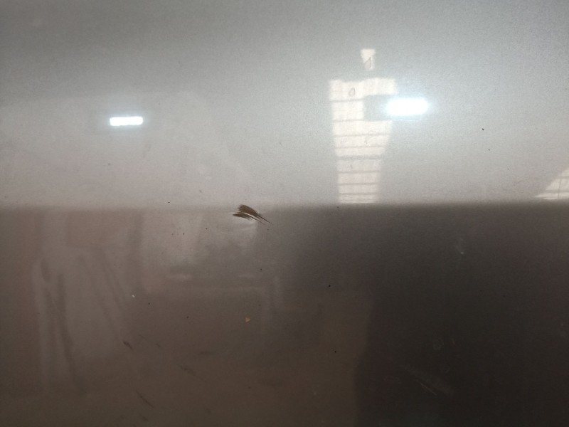 Recambio de puerta trasera izquierda para peugeot 307 (3a/c) 1.4 referencia OEM IAM   