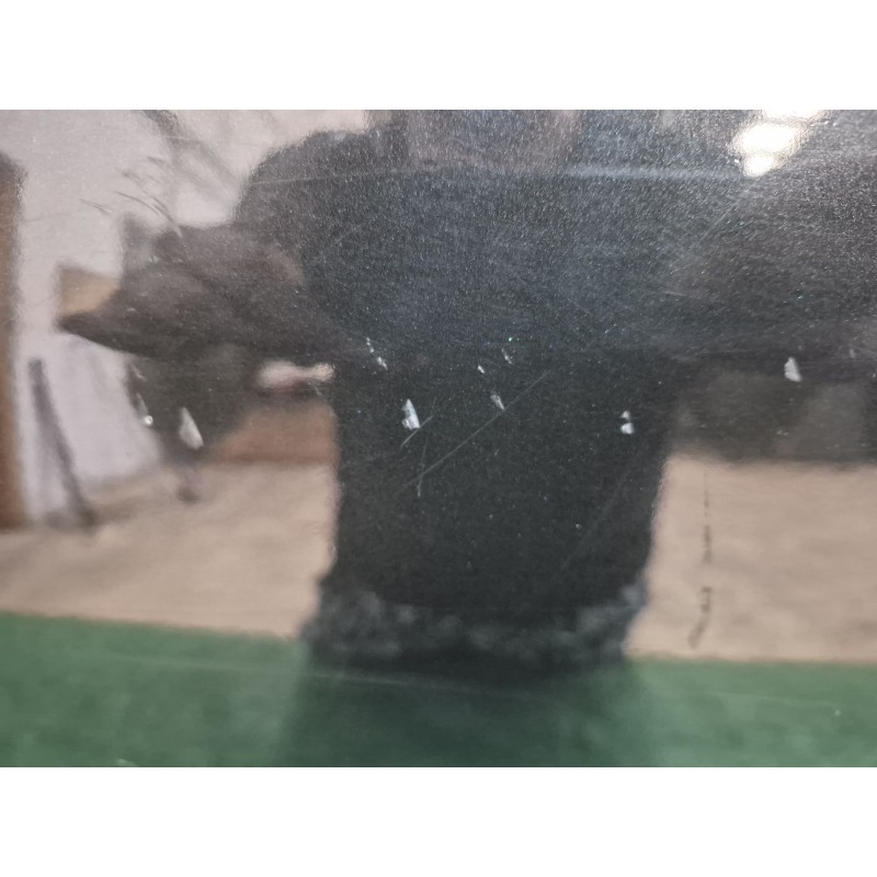 Recambio de puerta trasera derecha para renault grand scénic ii (jm0/1_) 1.9 dci (jm14) referencia OEM IAM   