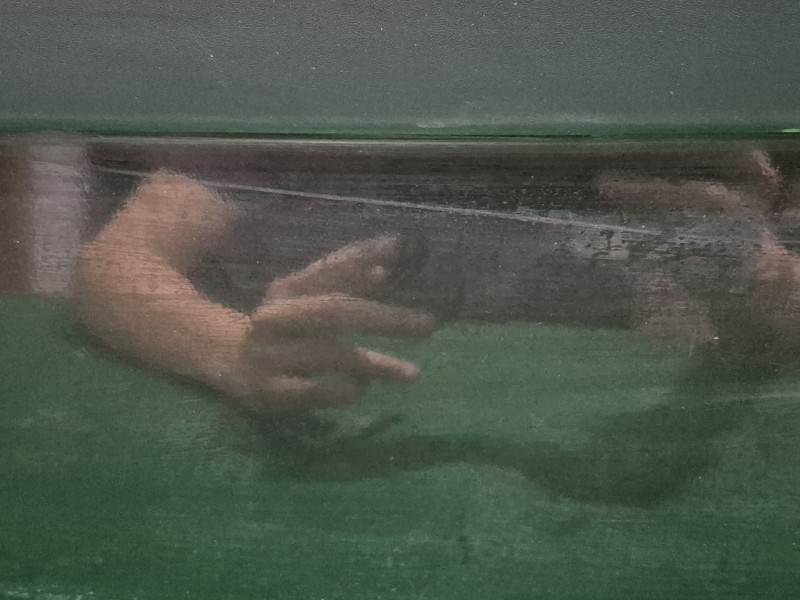 Recambio de puerta delantera izquierda para renault grand scénic ii (jm0/1_) 1.9 dci (jm14) referencia OEM IAM   