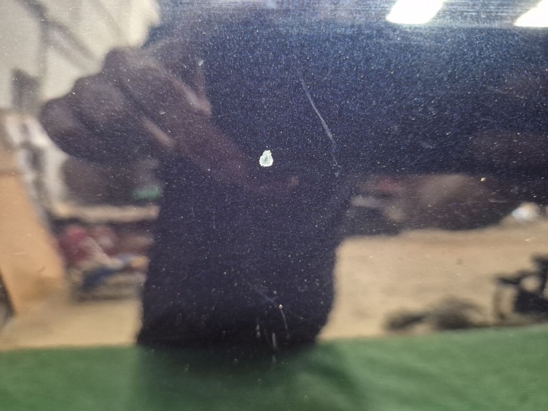 Recambio de puerta delantera derecha para mercedes-benz clase e (w211) e 220 cdi (211.006) referencia OEM IAM   