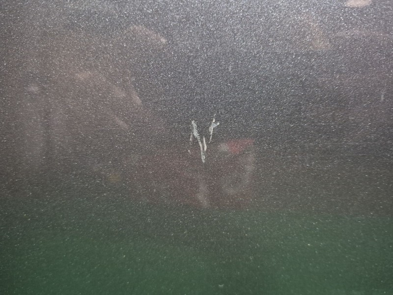 Recambio de puerta trasera derecha para bmw 3 (e46) 320 d referencia OEM IAM   