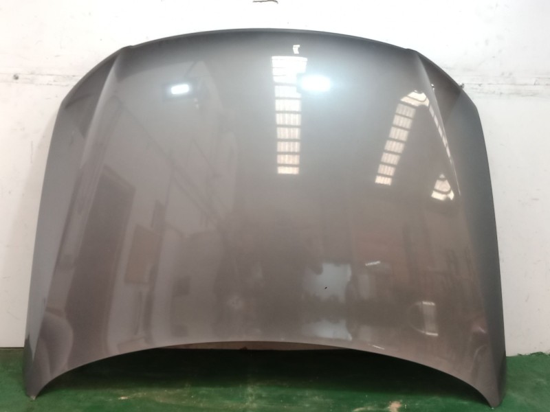 Recambio de capot para volkswagen passat b6 (3c2) 2.0 tdi 16v referencia OEM IAM   