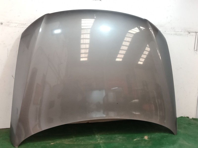 Recambio de capot para volkswagen passat b6 (3c2) 2.0 tdi 16v referencia OEM IAM   