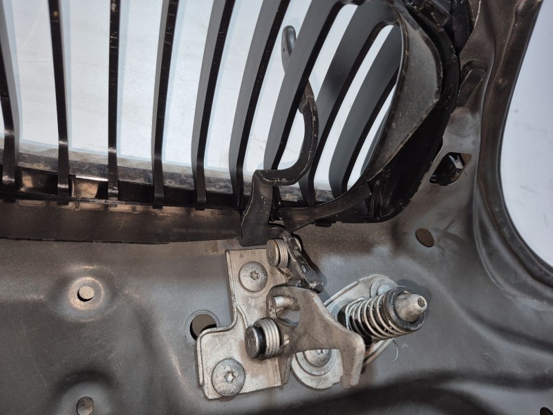 Recambio de capot para bmw 3 (e46) 320 d referencia OEM IAM   