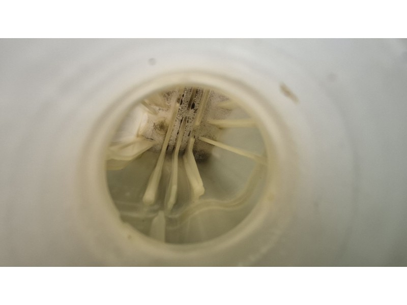 Recambio de deposito expansion para nissan qashqai i (j10, nj10) 1.5 dci referencia OEM IAM 21711JD50B 21711JD50B 21711JD50B