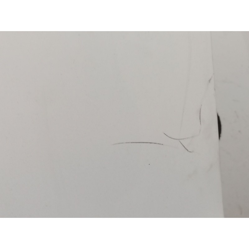 Recambio de puerta delantera derecha para iveco daily iv furgoneta 65c15 referencia OEM IAM   