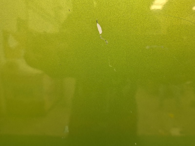 Recambio de puerta delantera derecha para opel agila 1.2 16v cat (z 12 xe / lw4) referencia OEM IAM   