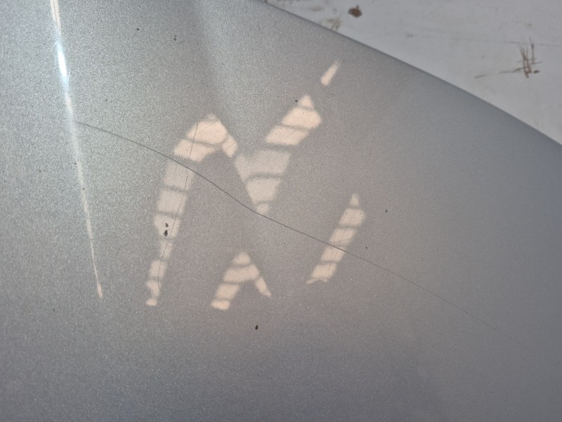 Recambio de capot para seat alhambra (7v8, 7v9) 1.9 tdi referencia OEM IAM   