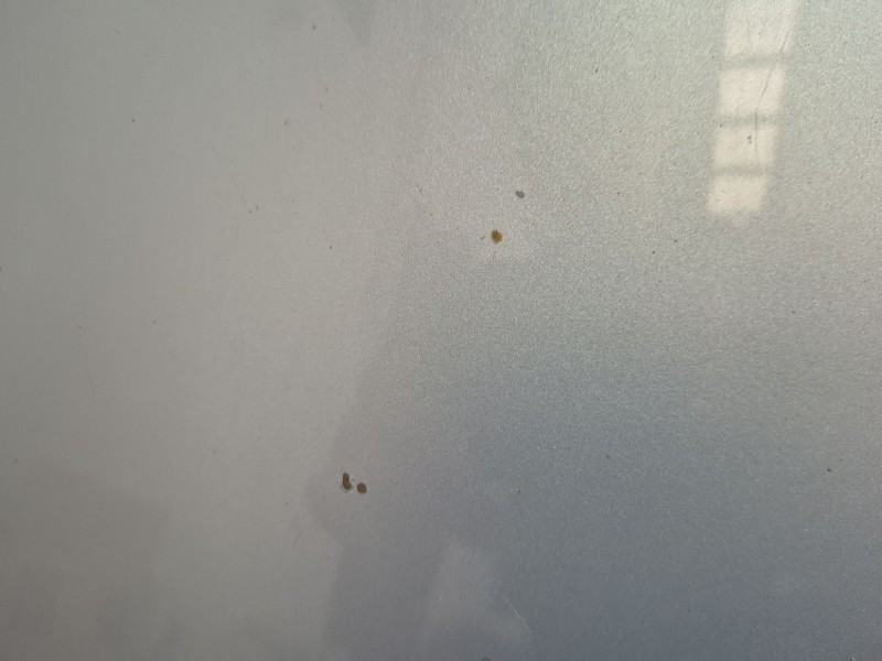 Recambio de capot para seat alhambra (7v8, 7v9) 1.9 tdi referencia OEM IAM   