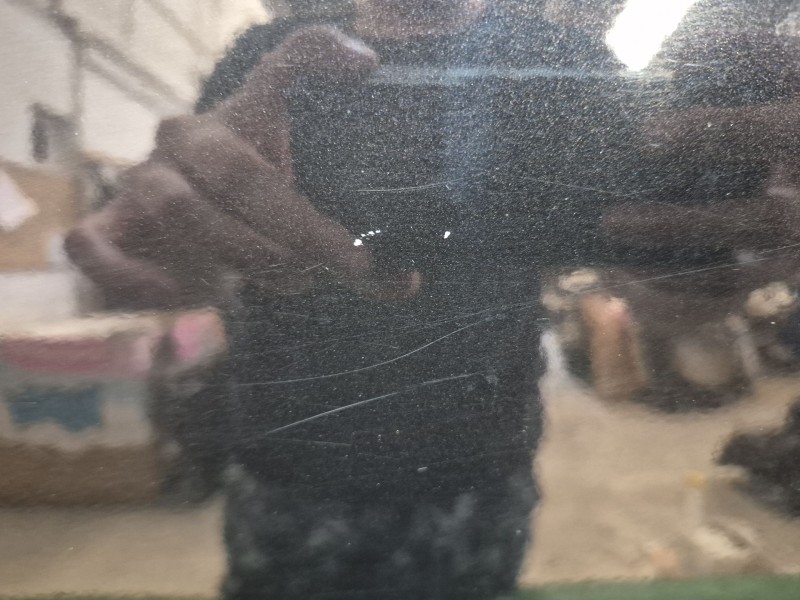 Recambio de puerta trasera derecha para mazda 3 (bl) 1.6 mzr (bl14) referencia OEM IAM   