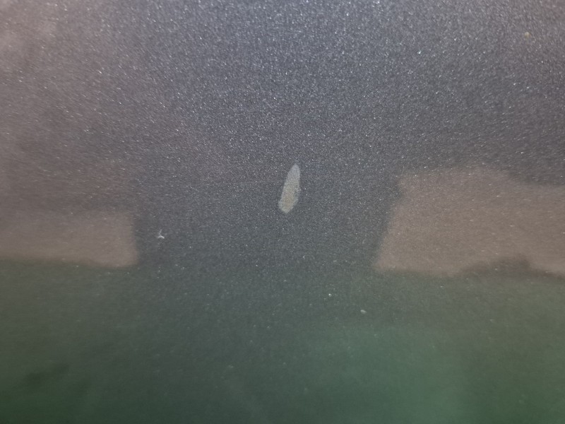 Recambio de puerta delantera derecha para bmw 5 touring (e61) 520 d referencia OEM IAM   