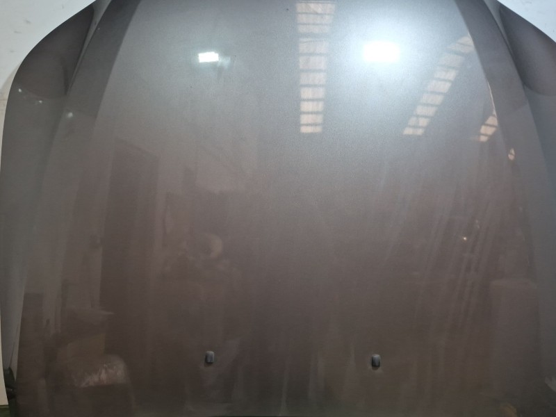 Recambio de capot para bmw 5 touring (e61) 520 d referencia OEM IAM   