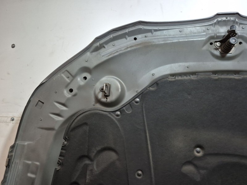 Recambio de capot para bmw 5 touring (e61) 520 d referencia OEM IAM   