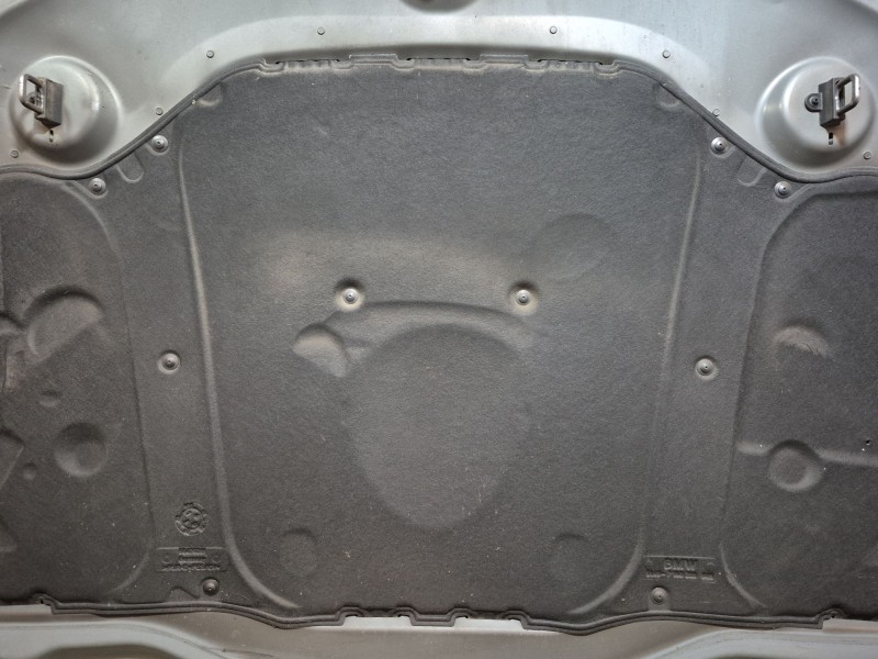 Recambio de capot para bmw 5 touring (e61) 520 d referencia OEM IAM   