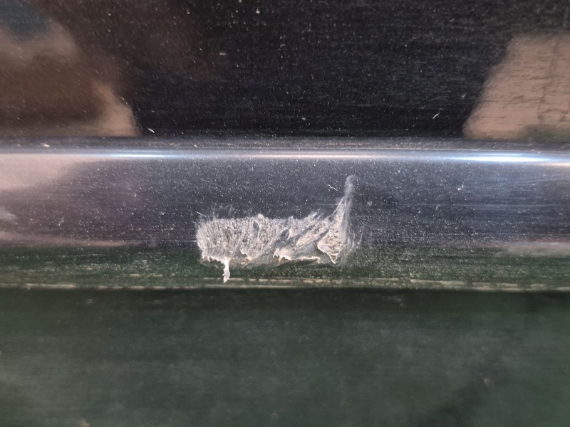 Recambio de puerta delantera derecha para mazda 3 (bl) 1.6 mzr (bl14) referencia OEM IAM   