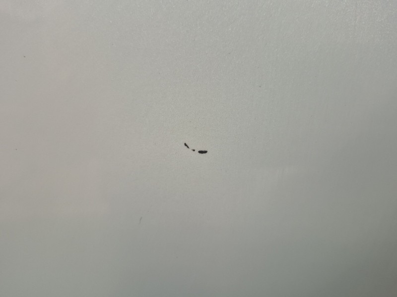 Recambio de puerta delantera derecha para peugeot 5008 (0u_, 0e_) 1.6 hdi referencia OEM IAM   