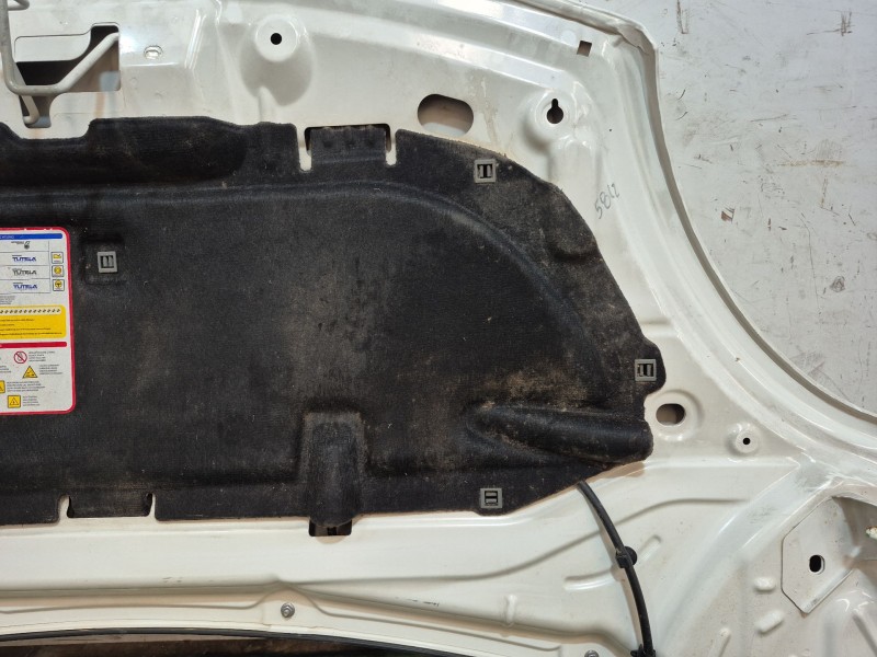 Recambio de capot para fiat 500l (351_, 352_) 1.3 d multijet (199.lym11, 199.lym1a) referencia OEM IAM   