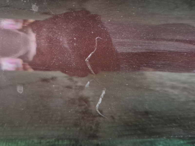 Recambio de puerta delantera derecha para audi a3 (8p1) 1.6 tdi referencia OEM IAM   