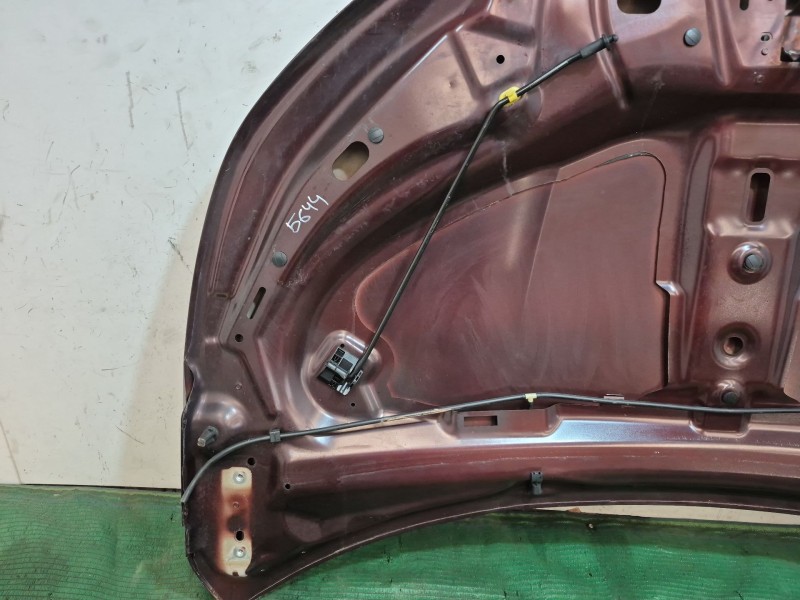 Recambio de capot para citroën c4 ii (nc_) 1.6 hdi 90 referencia OEM IAM   