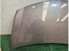 Recambio de capot para renault clio iii (br0/1, cr0/1) 1.2 16v (br02, br0j, br11, cr02, cr0j, cr11) referencia OEM IAM    2
