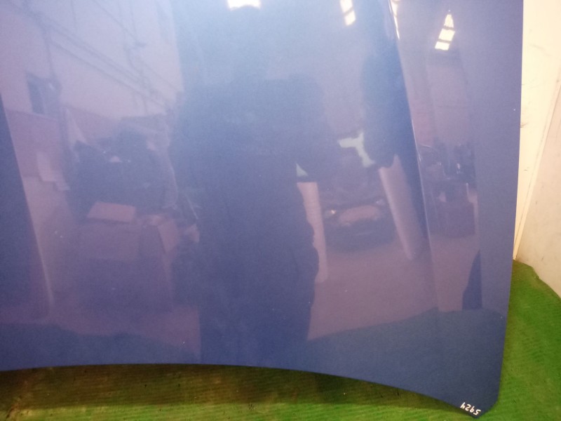 Recambio de capot para renault laguna iii (bt0/1) 2.0 dci gt (bt11, bt1e, bt1n) referencia OEM IAM   