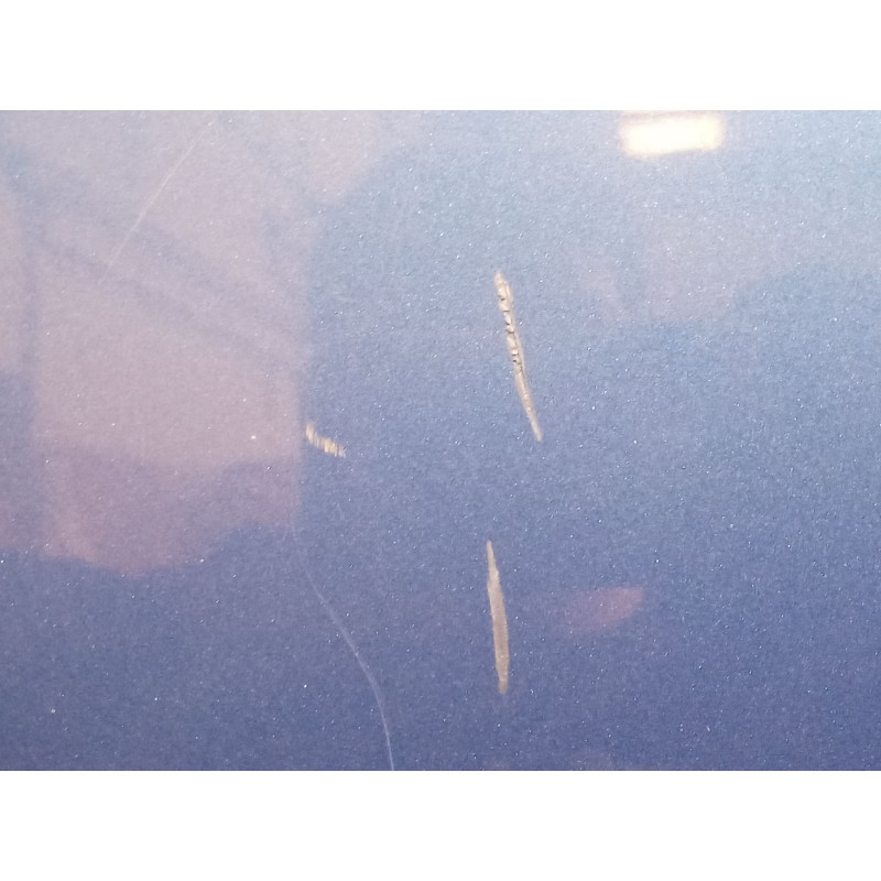 Recambio de capot para renault laguna iii (bt0/1) 2.0 dci gt (bt11, bt1e, bt1n) referencia OEM IAM   