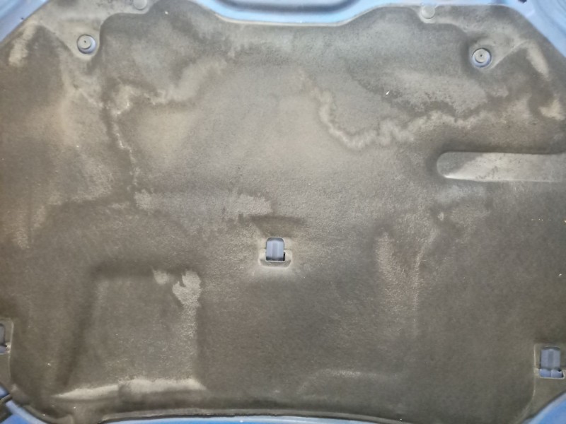 Recambio de capot para renault laguna iii (bt0/1) 2.0 dci gt (bt11, bt1e, bt1n) referencia OEM IAM   