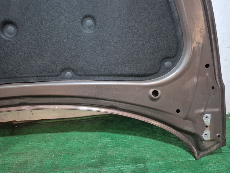 Recambio de capot para kia cee´d sportswagon (jd) 1.6 crdi 128 referencia OEM IAM   