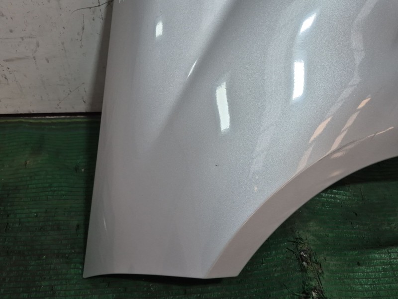 Recambio de aleta delantera izquierda para mercedes-benz clase a (w169) a 180 cdi (169.007, 169.307) referencia OEM IAM 16988903
