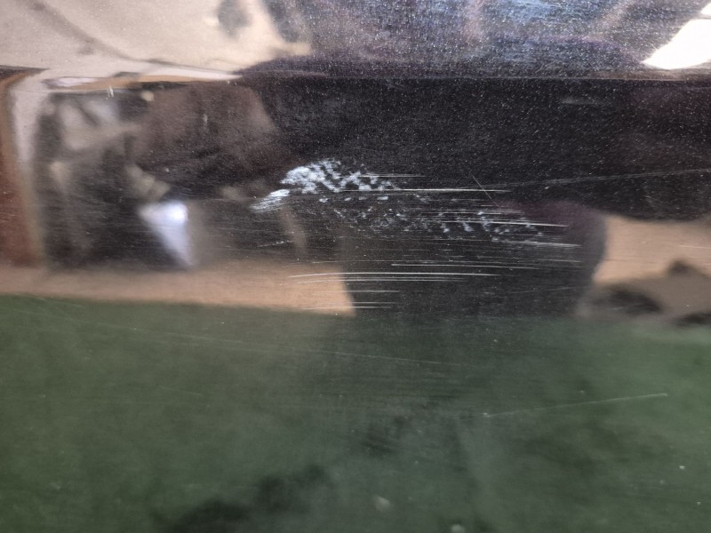 Recambio de puerta delantera izquierda para volkswagen tiguan (5n_) 2.0 tdi referencia OEM IAM   