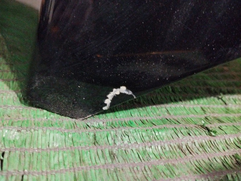 Recambio de capot para volkswagen tiguan (5n_) 2.0 tdi referencia OEM IAM   