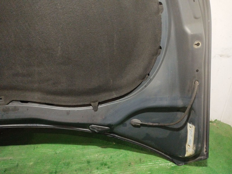 Recambio de capot para volkswagen tiguan (5n_) 2.0 tdi referencia OEM IAM   