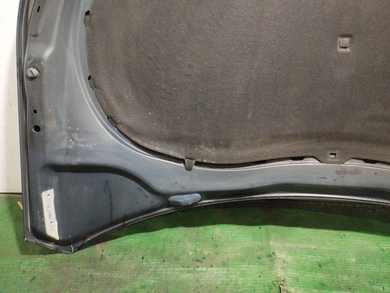 Recambio de capot para volkswagen tiguan (5n_) 2.0 tdi referencia OEM IAM   