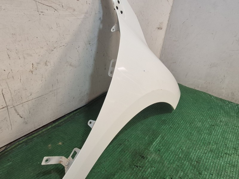 Recambio de aleta delantera derecha para renault megane iii hatchback (bz0/1_, b3_) 1.5 dci referencia OEM IAM   