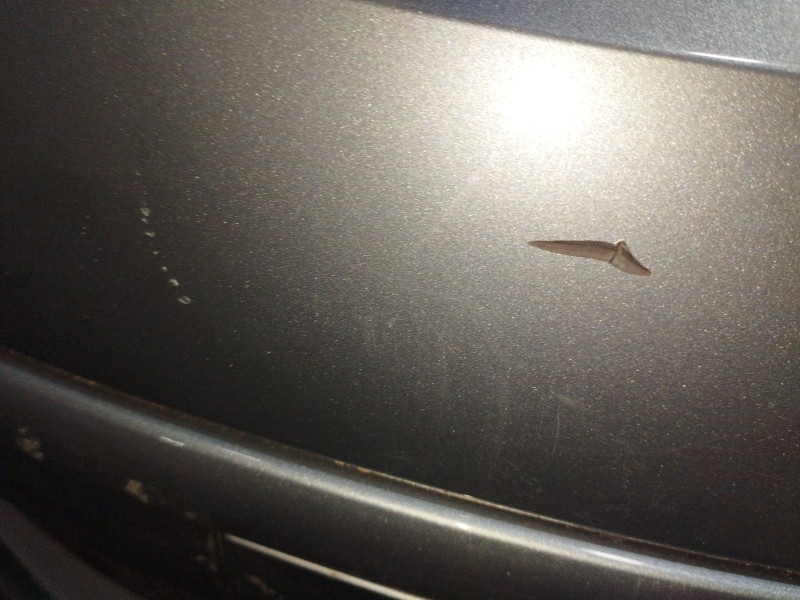 Recambio de paragolpes delantero para seat altea (5p1) 2.0 tdi referencia OEM IAM   